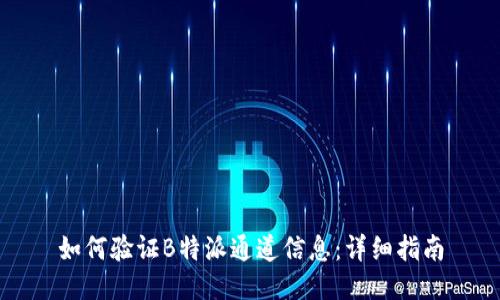 如何验证B特派通道信息：详细指南