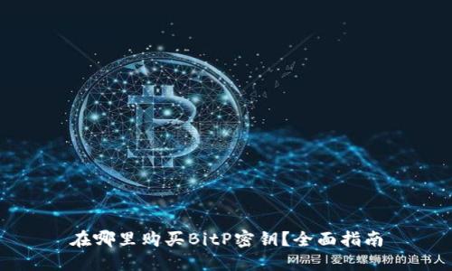 在哪里购买BitP密钥？全面指南