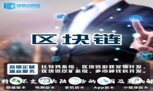 比特派不支持大陆身份的原因及影响解析