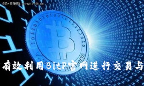 如何有效利用BitP官网进行交易与投资