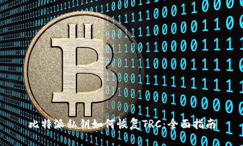 比特派私钥如何恢复TRC：全面指南