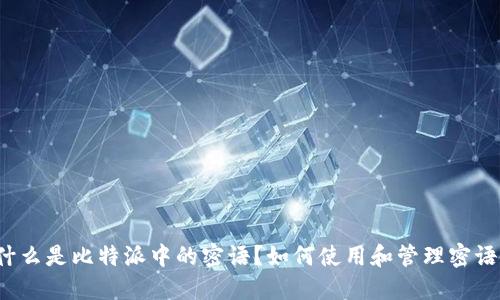 什么是比特派中的密语？如何使用和管理密语？