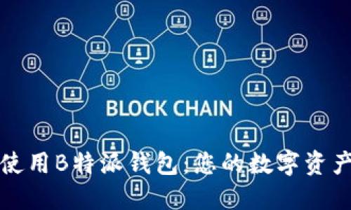 如何安全使用B特派钱包：您的数字资产保护指南