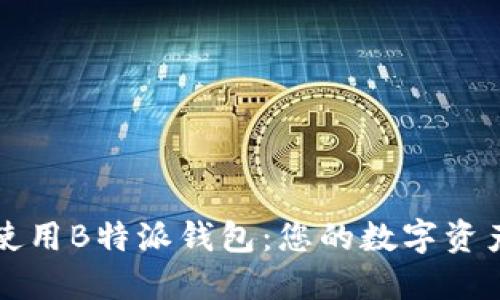 如何安全使用B特派钱包：您的数字资产保护指南