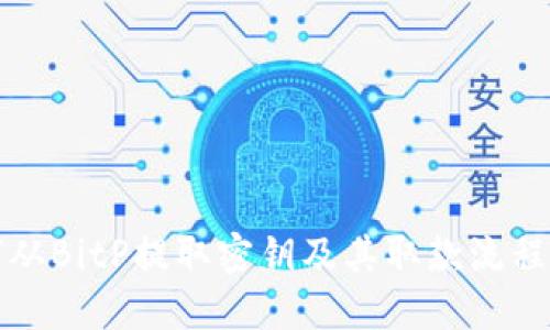 如何从BitP提取密钥及其取款流程详解