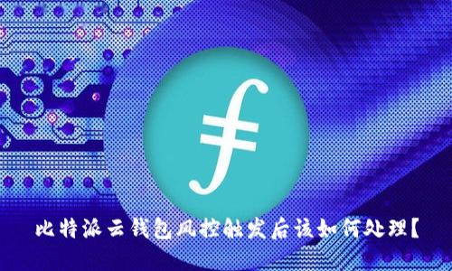 比特派云钱包风控触发后该如何处理？