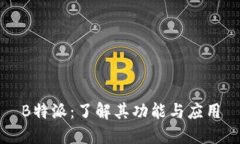 B特派：了解其功能与应用