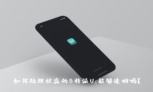 如何处理被盗的B特派U：能够追回吗？