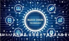 揭秘BitP钱包骗局：高清图片下载及其风险分析