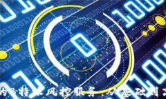 如何选择合适的B特派风控服务：从基础到高级的